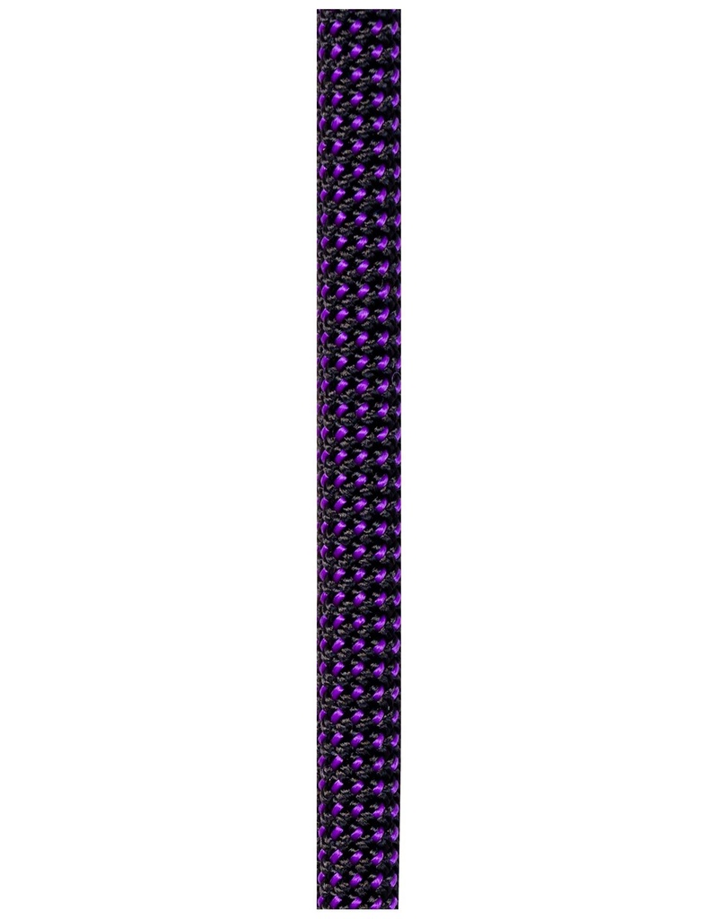 Beal Joker 9.1mm