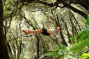 YY Vertical Penta Portable Climbing Hold