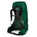 Osprey Rook 65