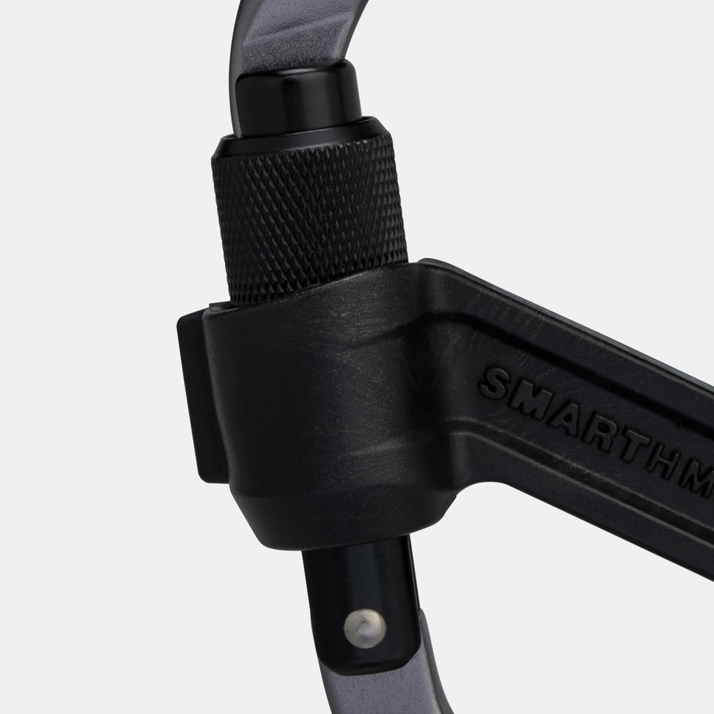 Mammut Smart HMS 2.0 Screwgate Carabiner