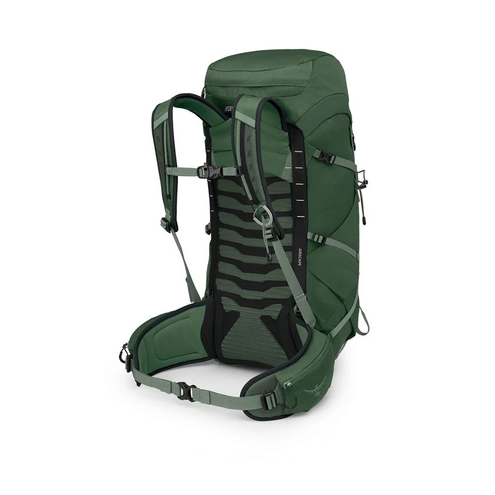 Osprey Talon 33