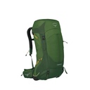 Osprey Stratos 36