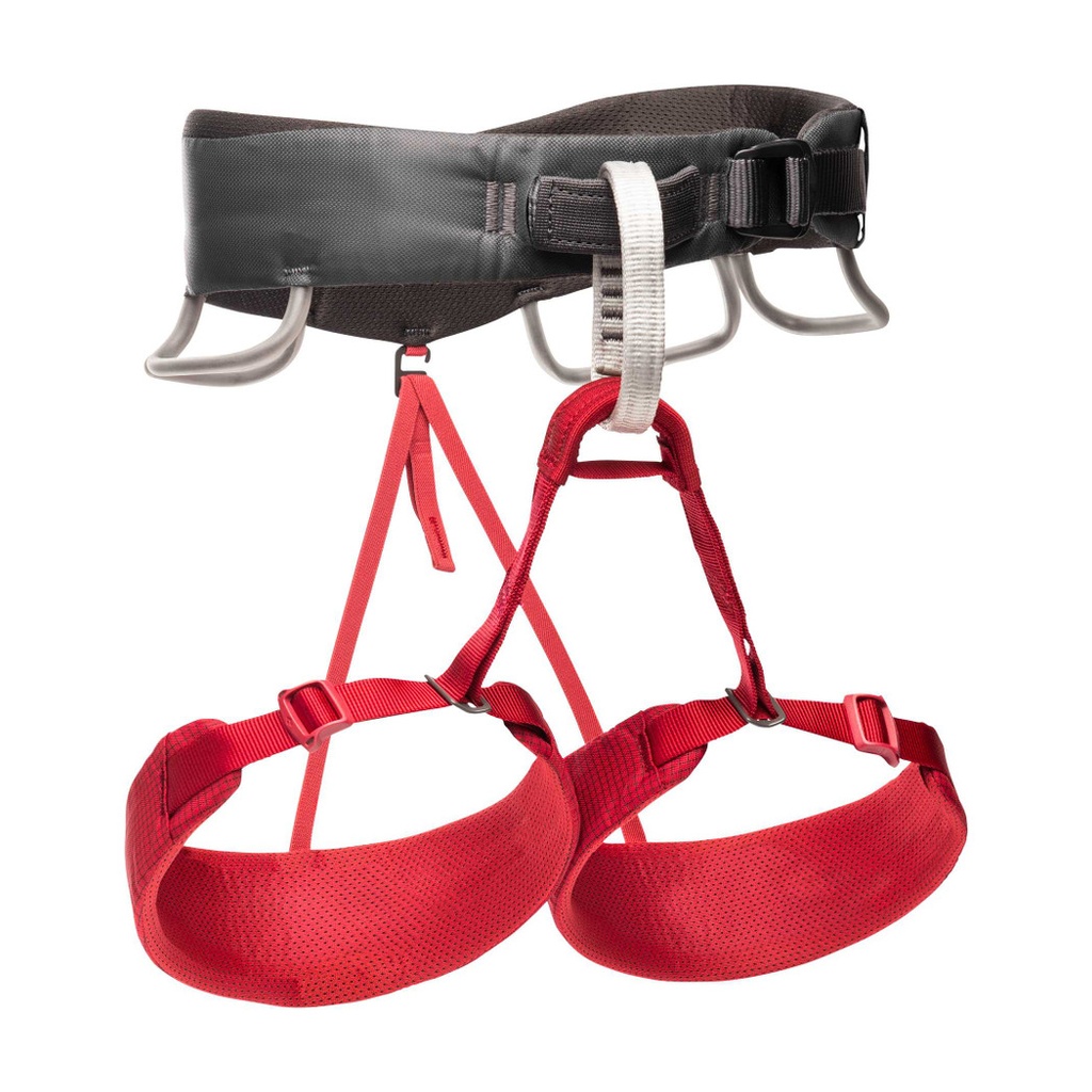 Black Diamond Momentum Harness – Women's