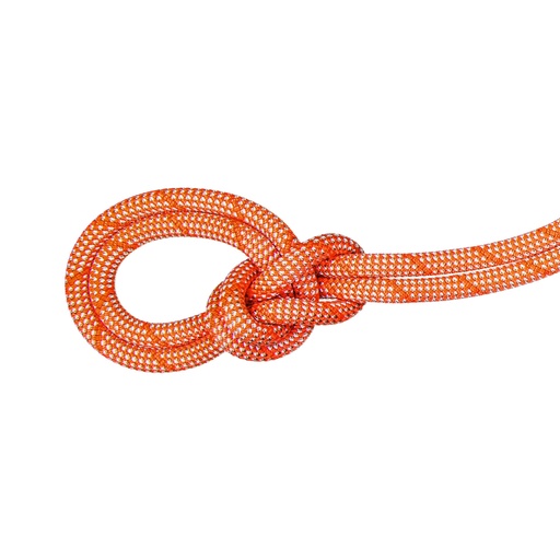 Mammut 9.8 Crag Classic