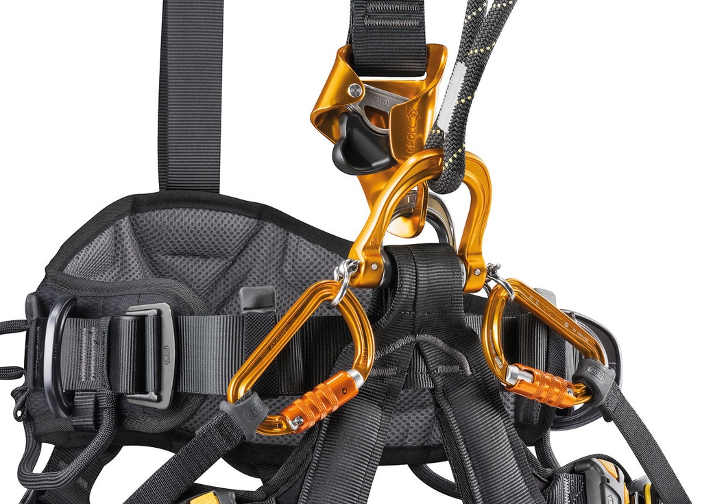 Petzl Astro Bod Fast Harness International