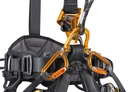 Petzl Astro Bod Fast Harness International