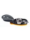 Anthron Lory Smart