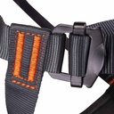 Beal Aero Team IV