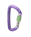 Wild Country Session S/G Pink/green Carabiner
