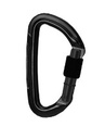 Wild Country Session S/G Carabiner black/black