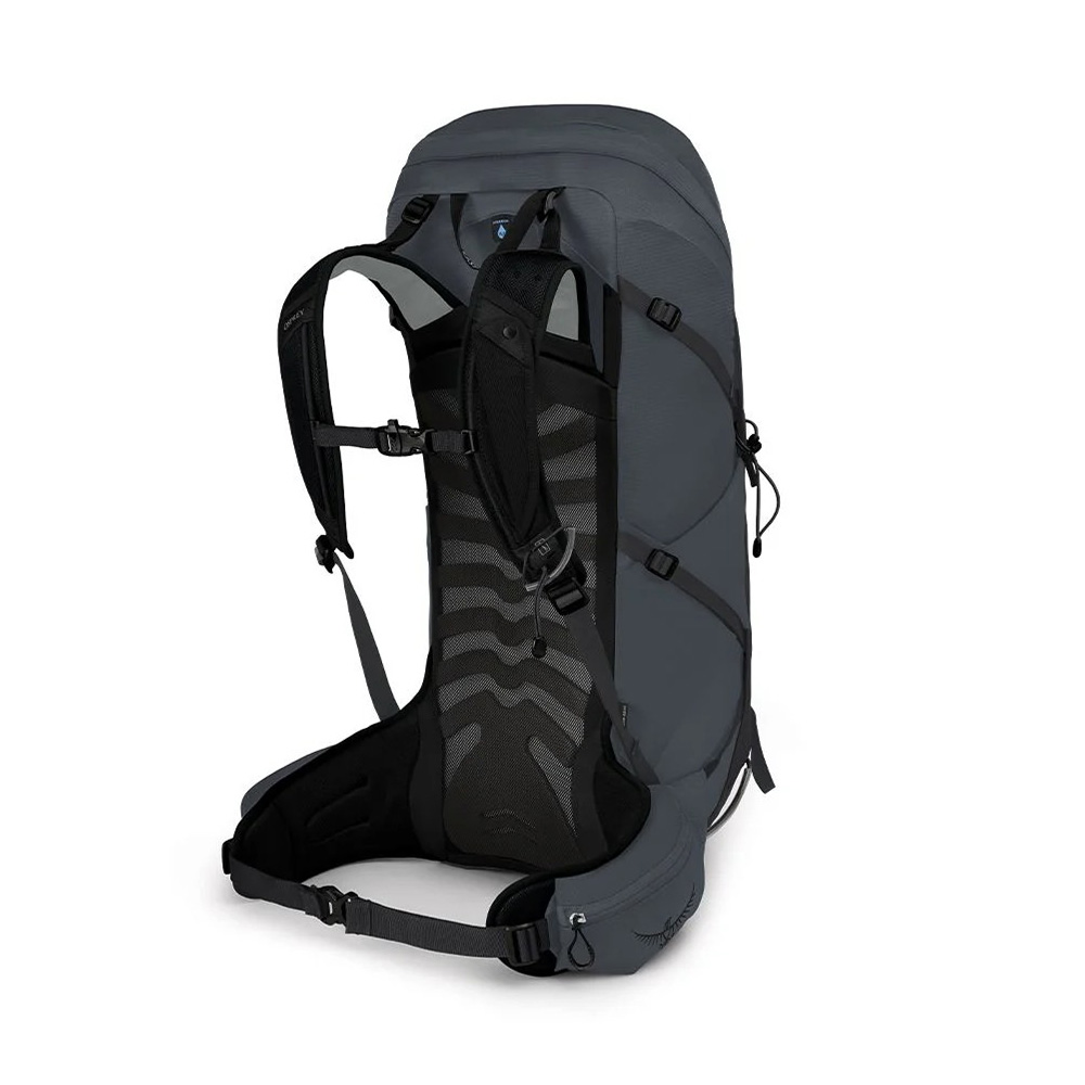 Osprey Talon 36