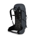 Osprey Talon 36