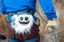 8BPLUS - MANNY Chalk Bag