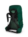 Osprey Rook Men's Backpack - 65L green back