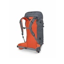Osprey Mutant 38