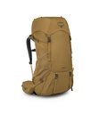 Osprey Rook 65