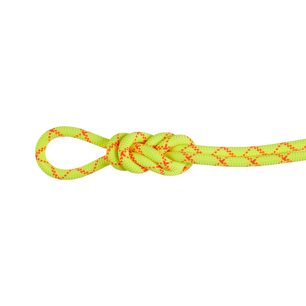 Mammut Alpine Core Protect Dry 9.5mm