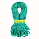 Tendon Anniversal 9.5