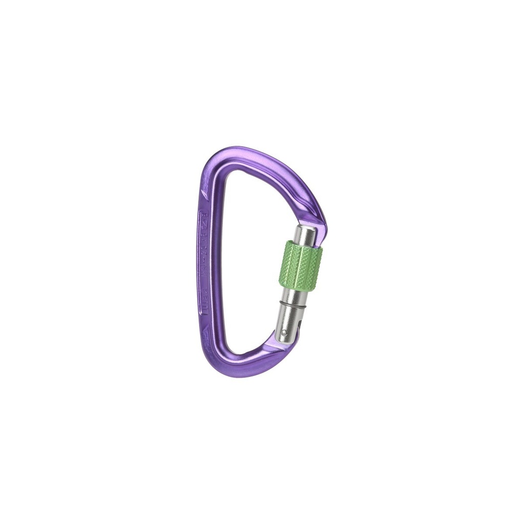 Wild Country Session Screwgate Carabiner