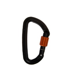 Wild Country Session Screwgate Carabiner