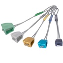 DMM Wallnut Set