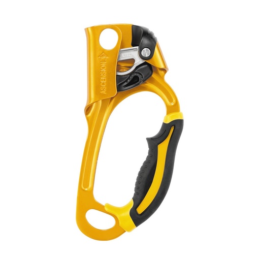 Petzl Ascension Work- Right