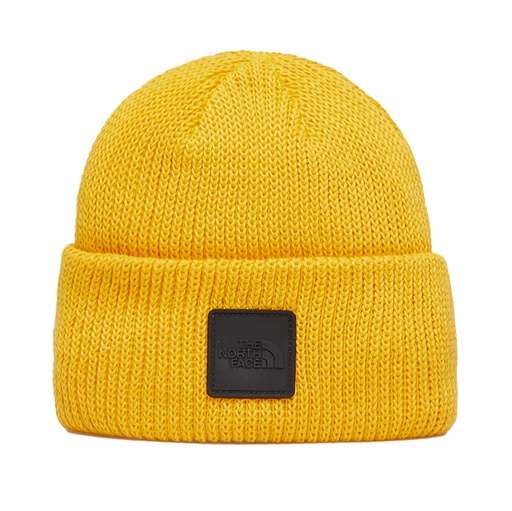The North Face Explore Beanie